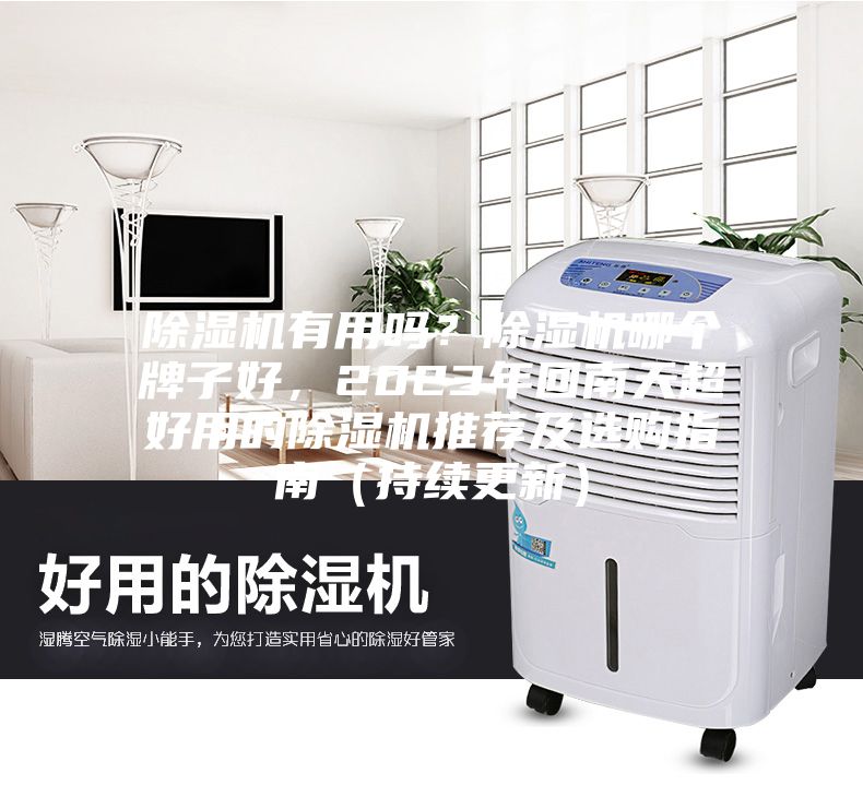 除濕機(jī)有用嗎？除濕機(jī)哪個(gè)牌子好，2023年回南天超好用的除濕機(jī)推薦及選購(gòu)指南（持續(xù)更新）