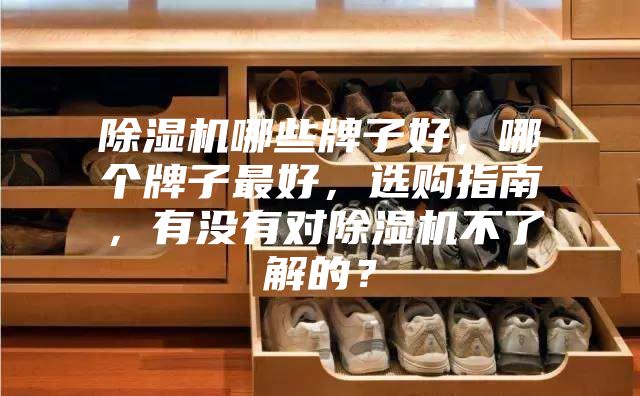 除濕機(jī)哪些牌子好，哪個(gè)牌子最好，選購指南，有沒有對(duì)除濕機(jī)不了解的？