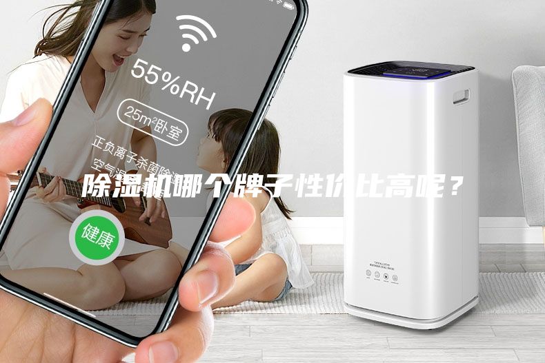 除濕機(jī)哪個(gè)牌子性價(jià)比高呢？