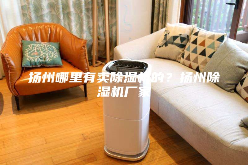 揚州哪里有賣除濕機的？揚州除濕機廠家