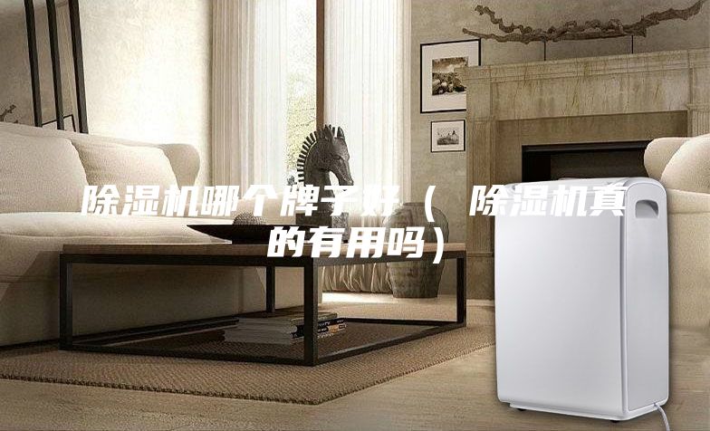 除濕機(jī)哪個牌子好（ 除濕機(jī)真的有用嗎）