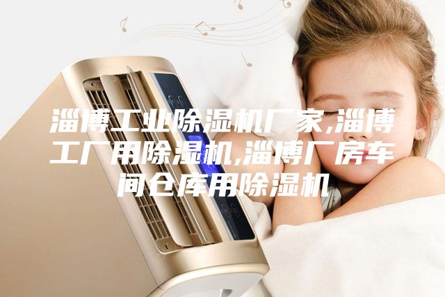 淄博工業(yè)除濕機廠家,淄博工廠用除濕機,淄博廠房車間倉庫用除濕機