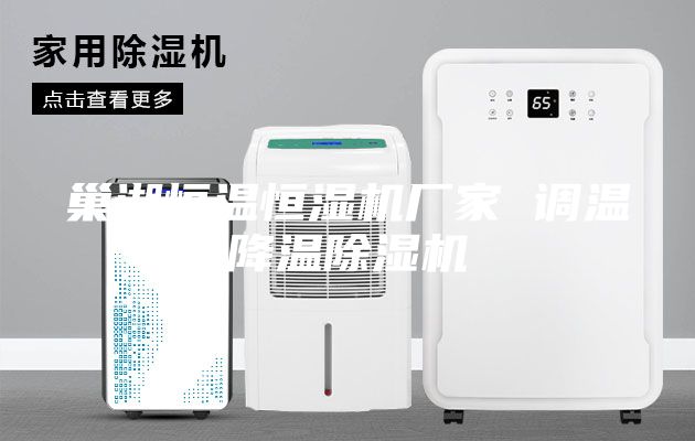 巢湖恒溫恒濕機(jī)廠家 調(diào)溫降溫除濕機(jī)