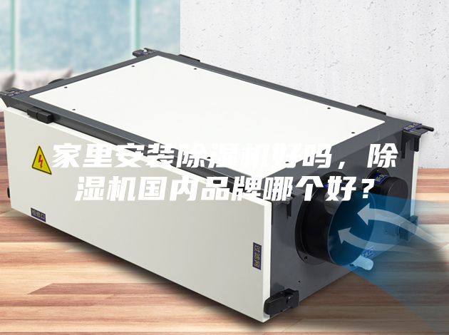 家里安裝除濕機好嗎，除濕機國內品牌哪個好？