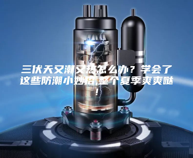 三伏天又潮又熱怎么辦？學會了這些防潮小妙招,整個夏季爽爽噠!