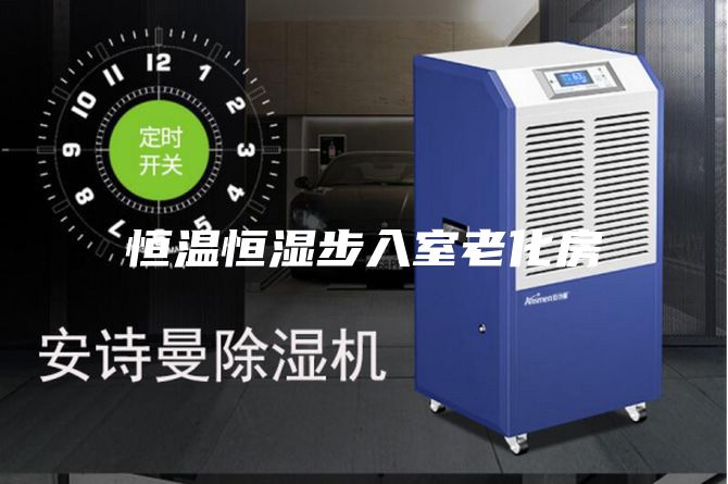 恒溫恒濕步入室老化房