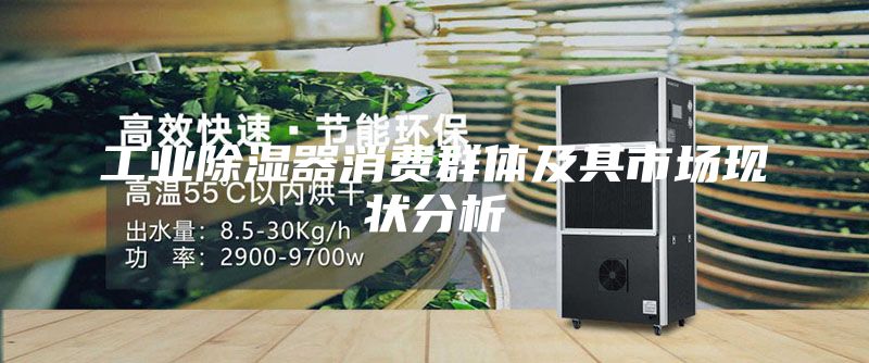 工業(yè)除濕器消費(fèi)群體及其市場(chǎng)現(xiàn)狀分析