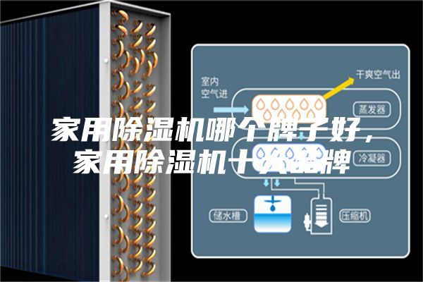家用除濕機哪個牌子好，家用除濕機十大品牌