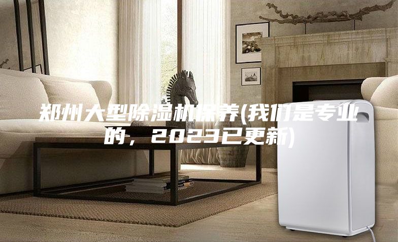 鄭州大型除濕機(jī)保養(yǎng)(我們是專業(yè)的，2023已更新)