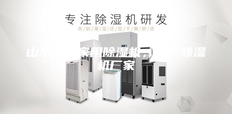 山東濟(jì)南家用除濕機(jī)，生產(chǎn)除濕機(jī)廠家