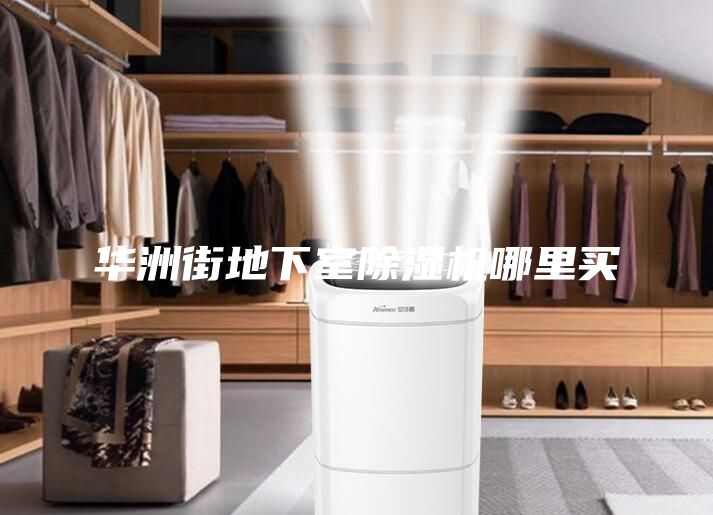 華洲街地下室除濕機(jī)哪里買(mǎi)
