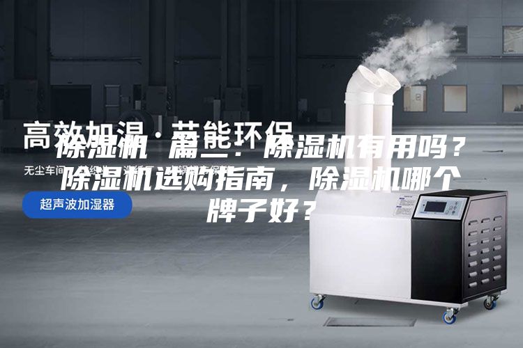 除濕機(jī) 篇二：除濕機(jī)有用嗎？除濕機(jī)選購(gòu)指南，除濕機(jī)哪個(gè)牌子好？