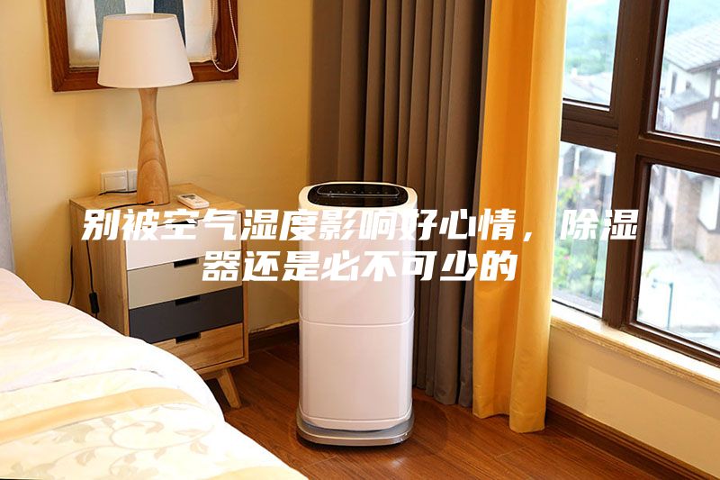 別被空氣濕度影響好心情，除濕器還是必不可少的