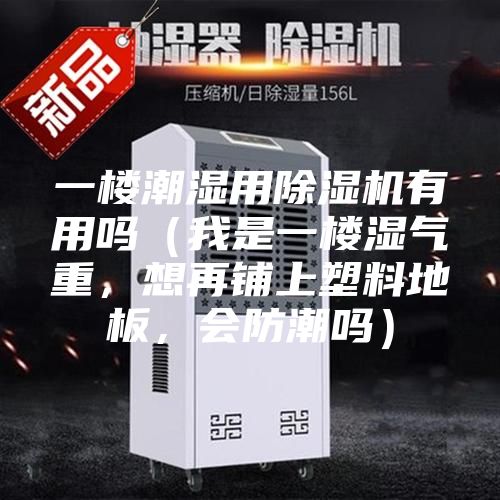 一樓潮濕用除濕機有用嗎（我是一樓濕氣重，想再鋪上塑料地板，會防潮嗎）