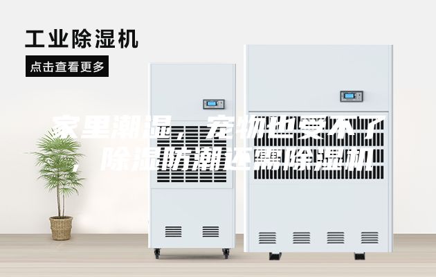 家里潮濕，寵物也受不了，除濕防潮還需除濕機
