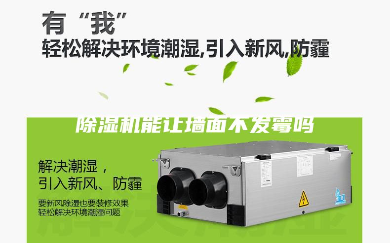 除濕機(jī)能讓墻面不發(fā)霉嗎
