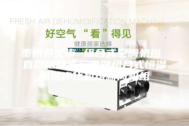 貴州遵義市 組合式空調(diào)機組 直膨組合式空調(diào)器組合式恒溫恒濕凈化機組新風(fēng)機組