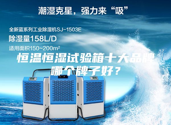 恒溫恒濕試驗箱十大品牌哪個牌子好？