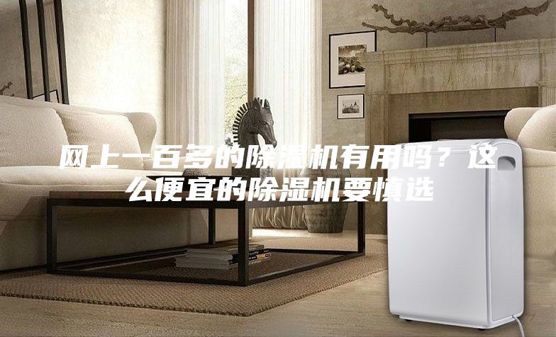 網上一百多的除濕機有用嗎？這么便宜的除濕機要慎選
