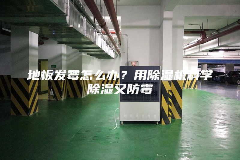 地板發霉怎么辦？用除濕機科學除濕又防霉