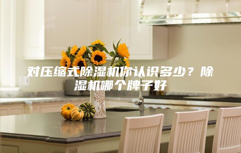 對壓縮式除濕機你認識多少？除濕機哪個牌子好