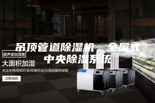 吊頂管道除濕機(jī)，全屋式中央除濕系統(tǒng)