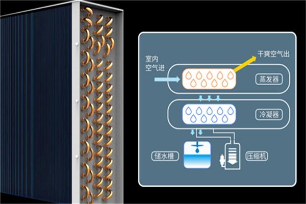這些行業需要應用工業除濕機，你知道有哪些嗎？