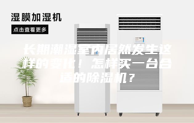 長期潮濕室內居然發生這樣的變化！怎樣買一臺合適的除濕機？