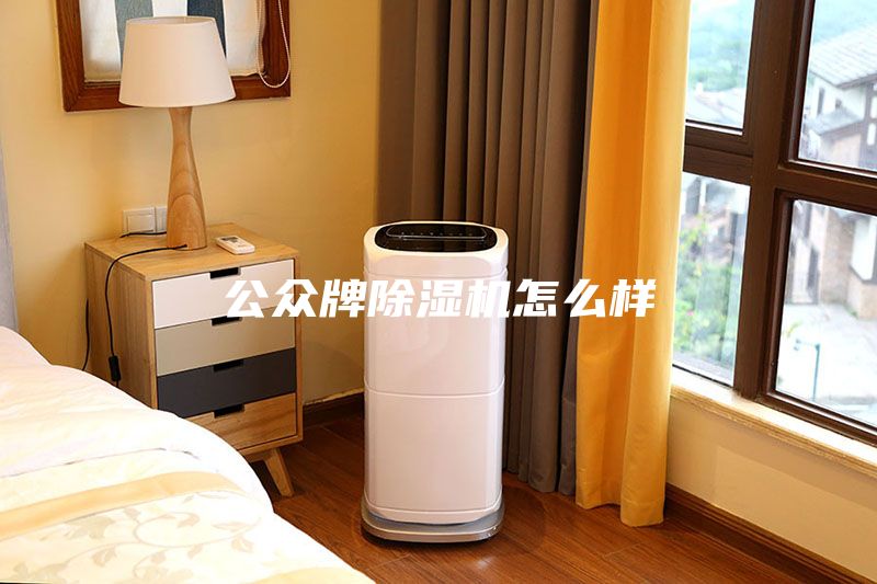 公眾牌除濕機(jī)怎么樣