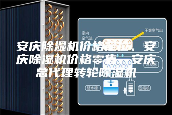 安慶除濕機(jī)價(jià)格定位、安慶除濕機(jī)價(jià)格零售、安慶總代理轉(zhuǎn)輪除濕機(jī)
