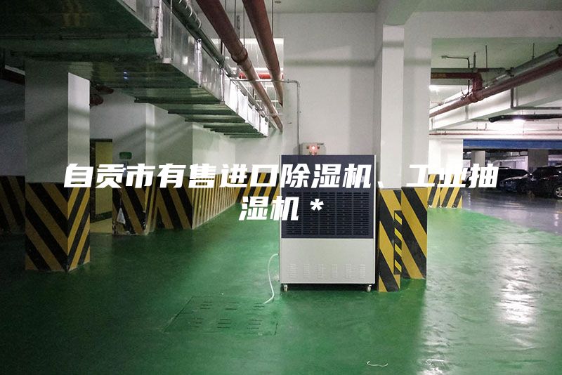 自貢市有售進口除濕機、工業抽濕機＊