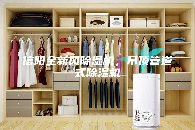 信陽全新風除濕機，吊頂管道式除濕機
