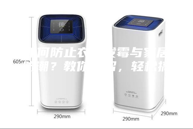 如何防止衣物發霉與家居防潮？教你幾招，輕松搞定