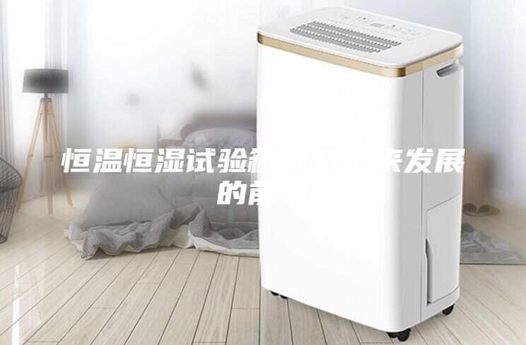 恒溫恒濕試驗箱很有未來發展的前景