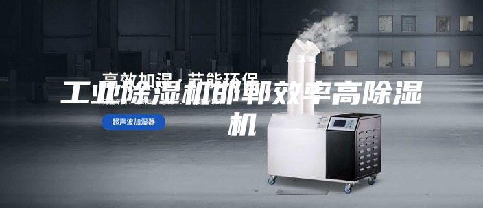 工業(yè)除濕機(jī)邯鄲效率高除濕機(jī)