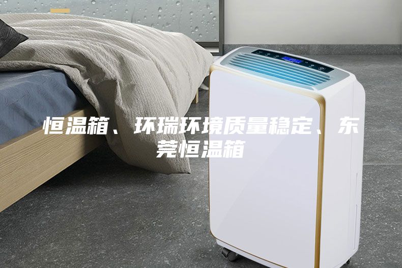 恒溫箱、環瑞環境質量穩定、東莞恒溫箱