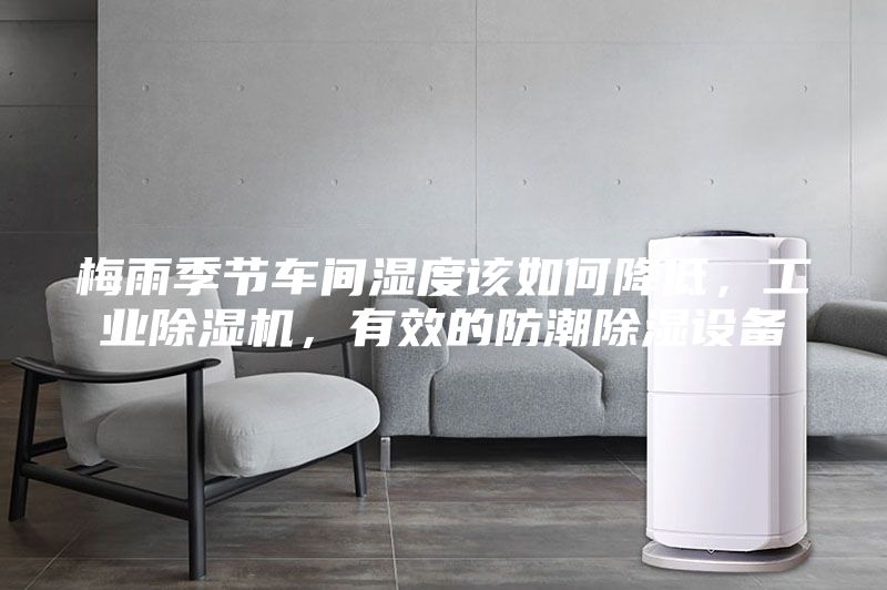 梅雨季節車間濕度該如何降低，工業除濕機，有效的防潮除濕設備