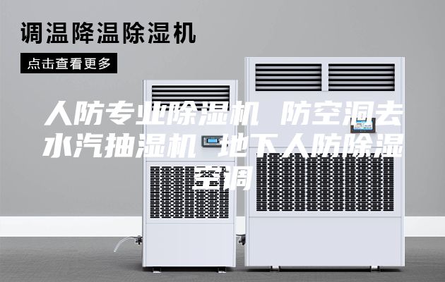 人防專業(yè)除濕機 防空洞去水汽抽濕機 地下人防除濕空調
