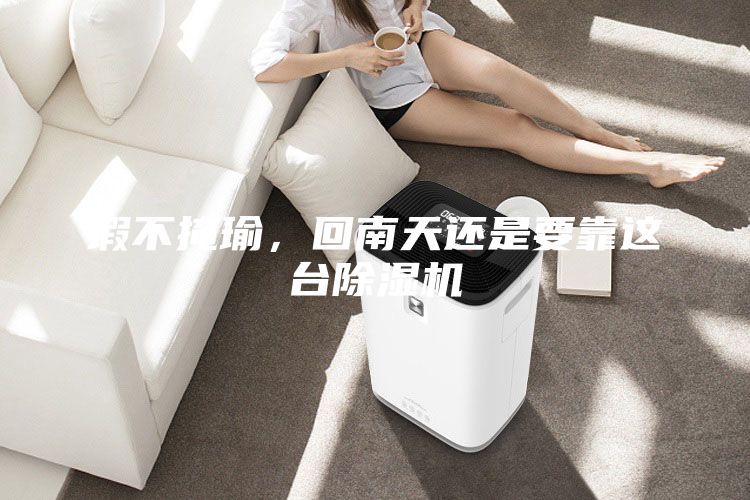 瑕不掩瑜，回南天還是要靠這臺(tái)除濕機(jī)