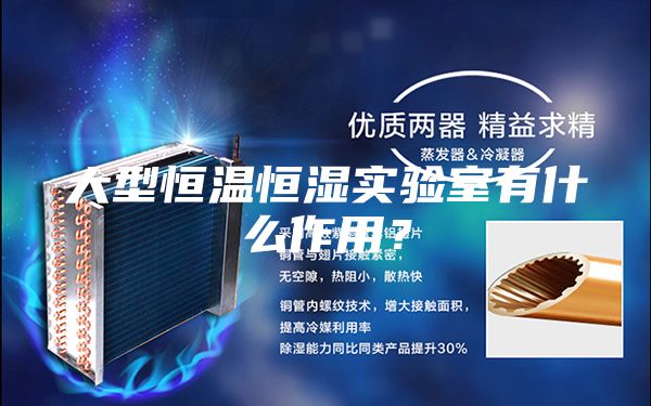 大型恒溫恒濕實(shí)驗(yàn)室有什么作用？