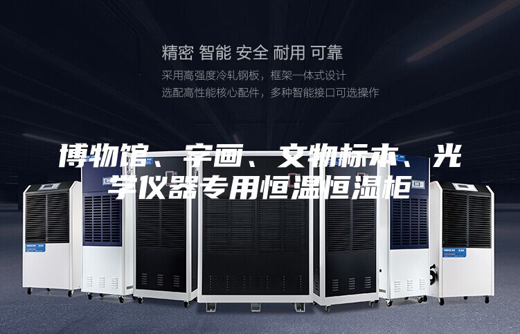 博物館、字畫、文物標本、光學儀器專用恒溫恒濕柜