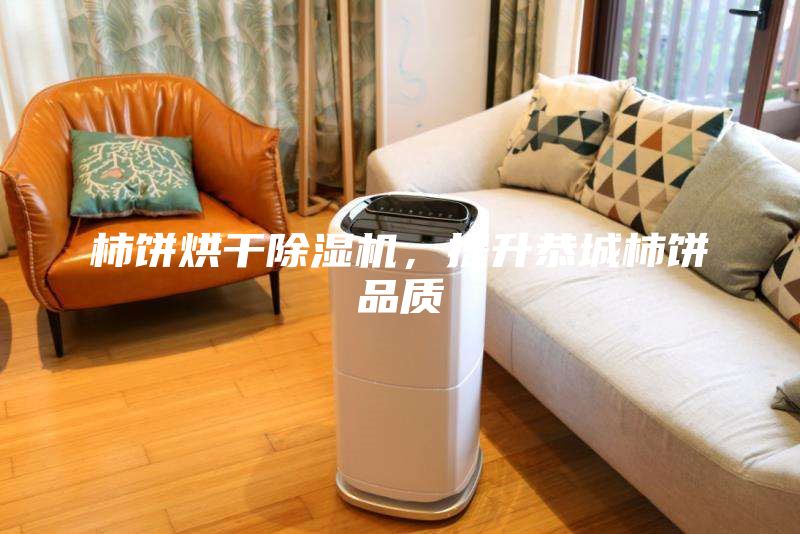 柿餅烘干除濕機，提升恭城柿餅品質