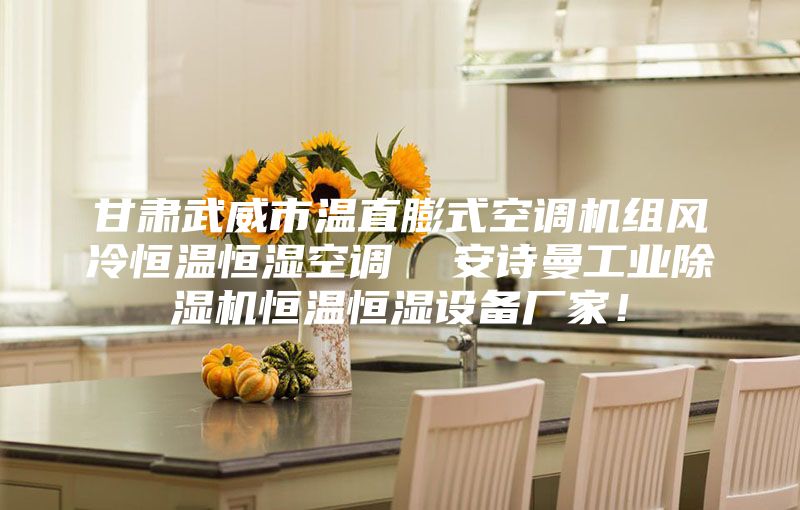 甘肅武威市溫直膨式空調(diào)機(jī)組風(fēng)冷恒溫恒濕空調(diào)  安詩曼工業(yè)除濕機(jī)恒溫恒濕設(shè)備廠家！