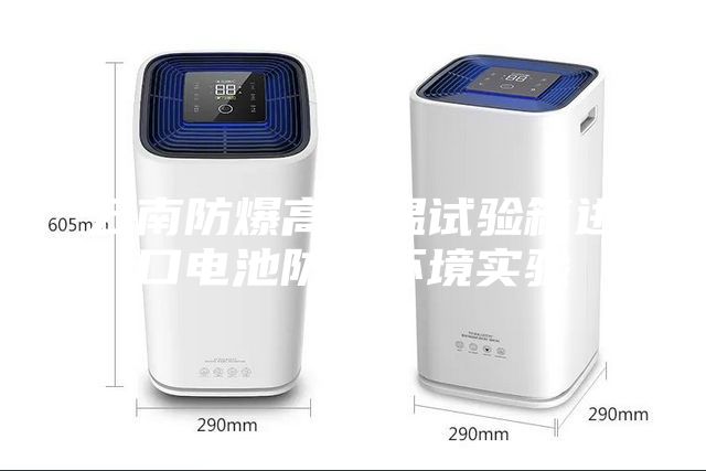 云南防爆高低溫試驗箱進口電池防爆環境實驗