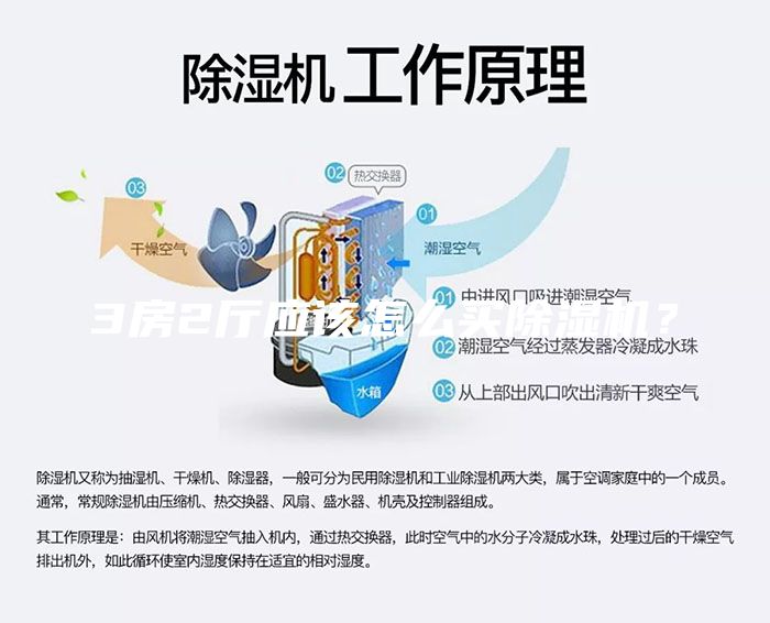 3房2廳應該怎么買除濕機？