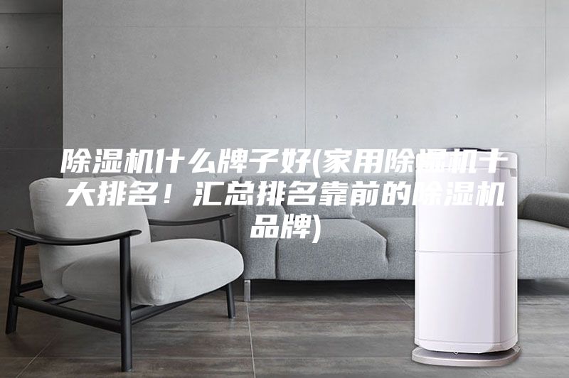 除濕機什么牌子好(家用除濕機十大排名！匯總排名靠前的除濕機品牌)