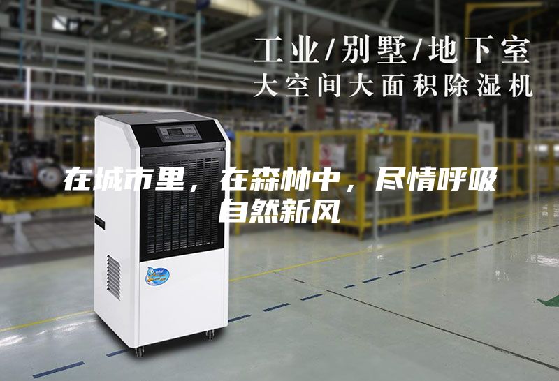 在城市里，在森林中，盡情呼吸自然新風(fēng)