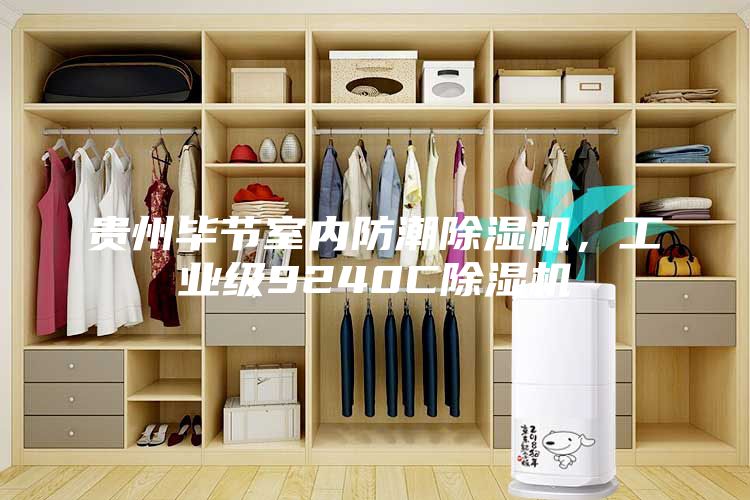 貴州畢節(jié)室內(nèi)防潮除濕機(jī)，工業(yè)級(jí)9240C除濕機(jī)