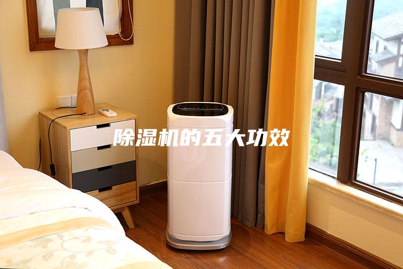 除濕機(jī)的五大功效