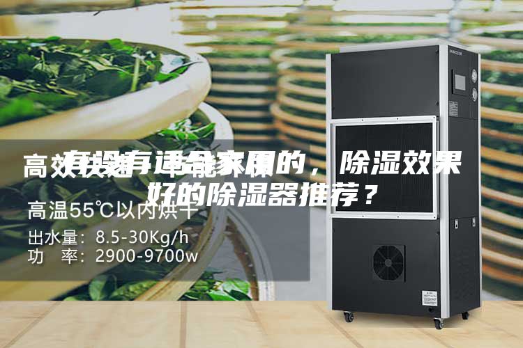 有沒有適合家用的，除濕效果好的除濕器推薦？